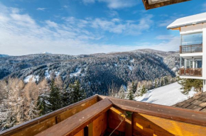 Apt Sellablick Rio Di Pusteria